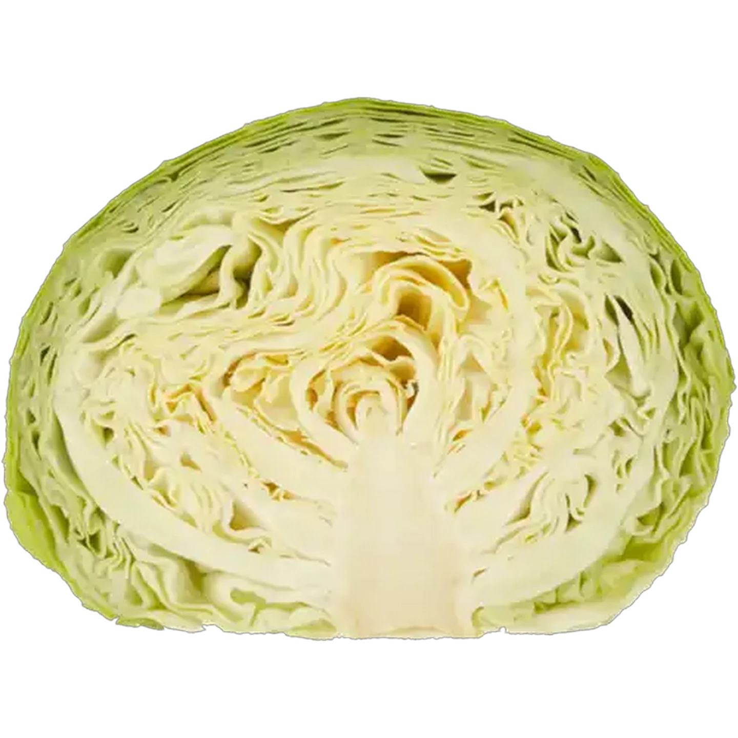 Image of Medium Half Cabbage