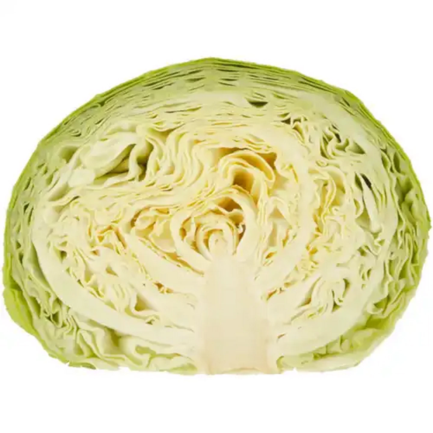 Image of Medium Half Cabbage
