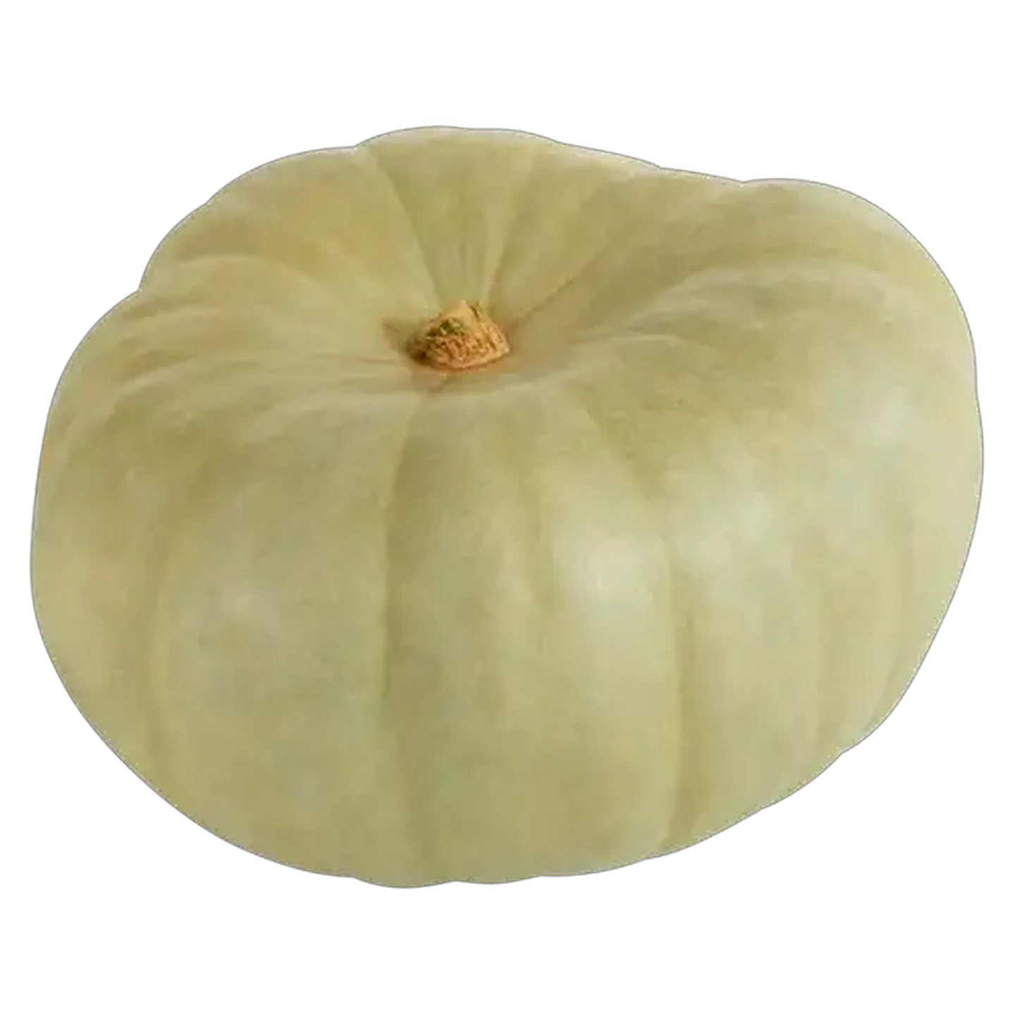 Image of Blue Pumpkin