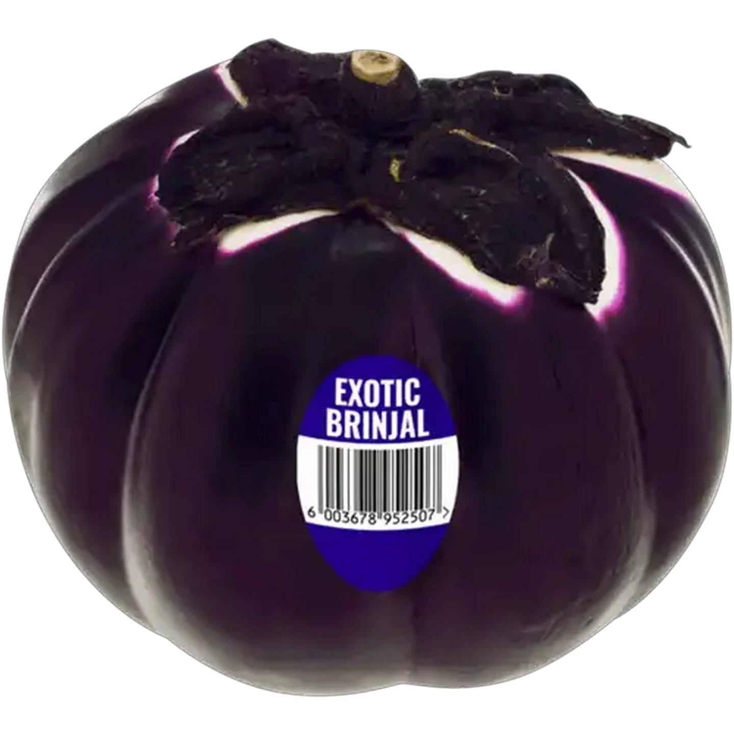 Image of Exotic Brinjal 1s