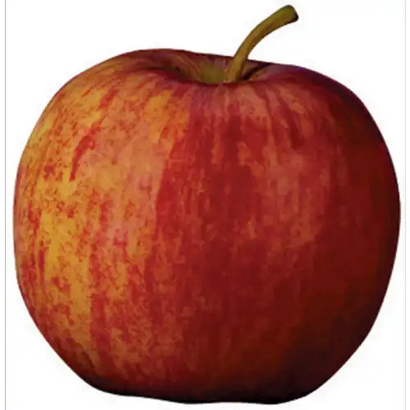 Image of Extra Large Starking Apple