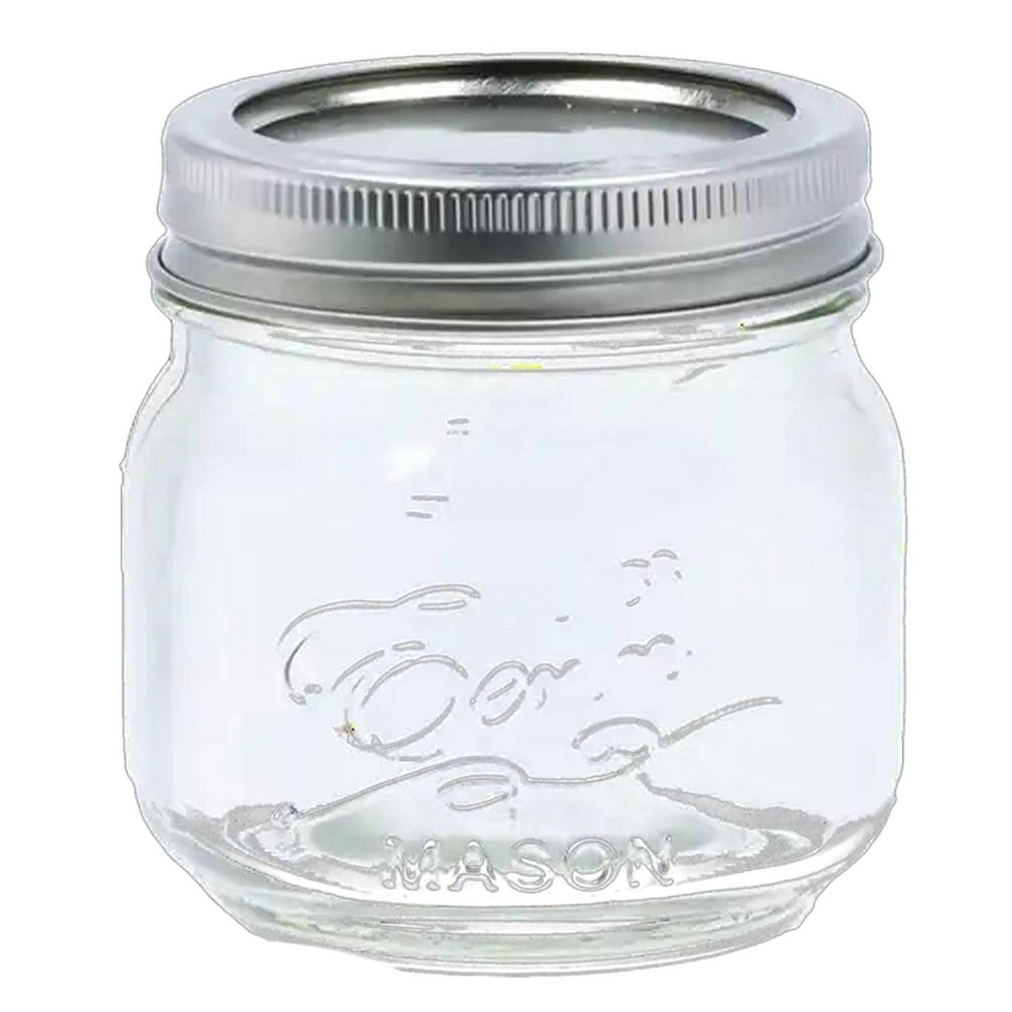 Image of Eerin '633 Clear Glass Mason Jar 250ml