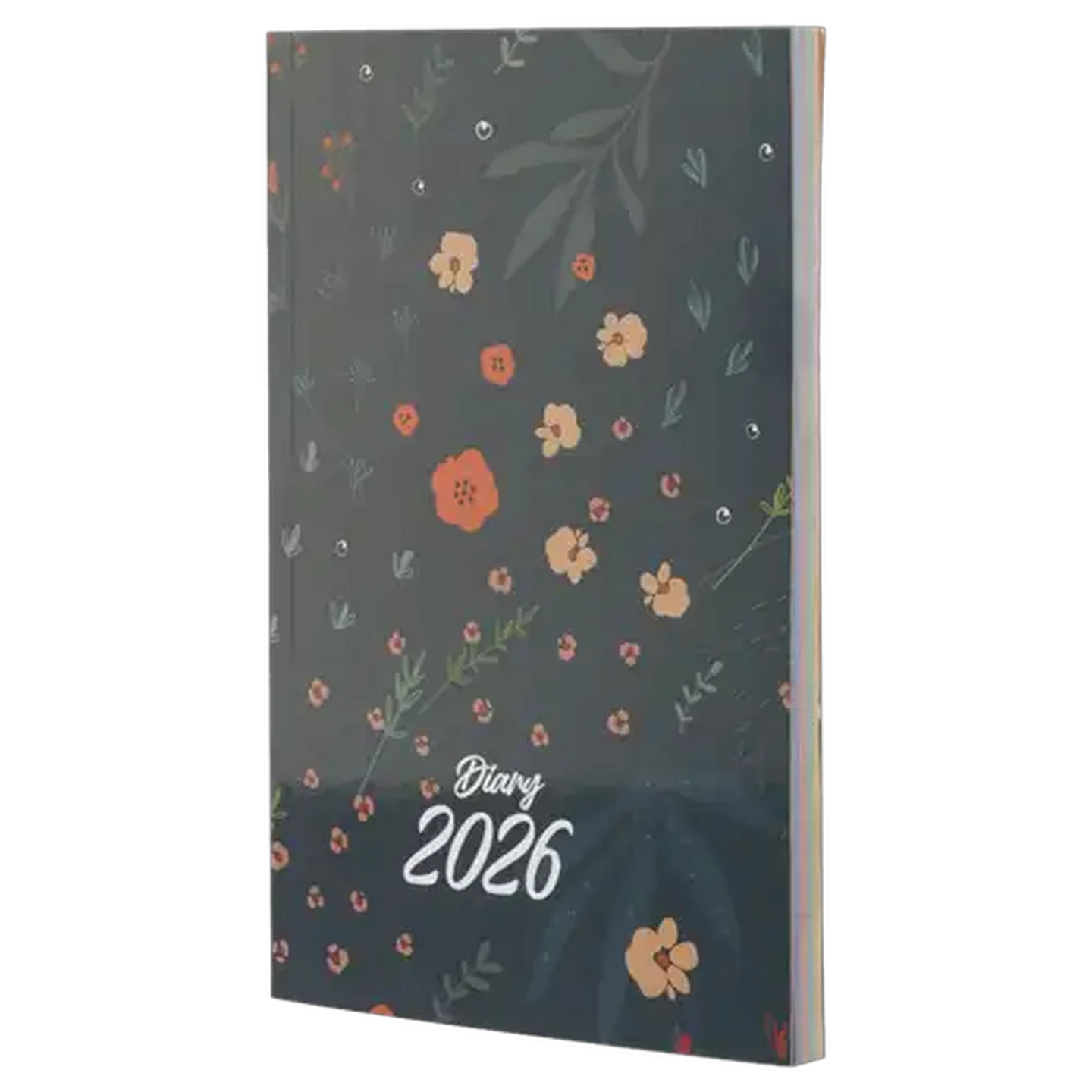 Image of Timeline A5 Soft Cover Diary 2026 (Design May Vary)