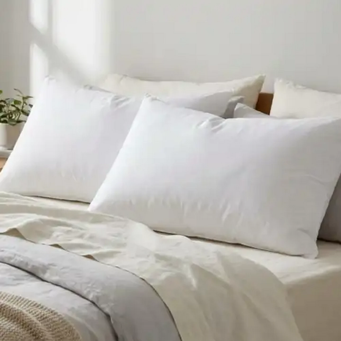 Image of Essentials Anti-Allergy Hollow Fibre Fill Standard Pillows 2-Pack