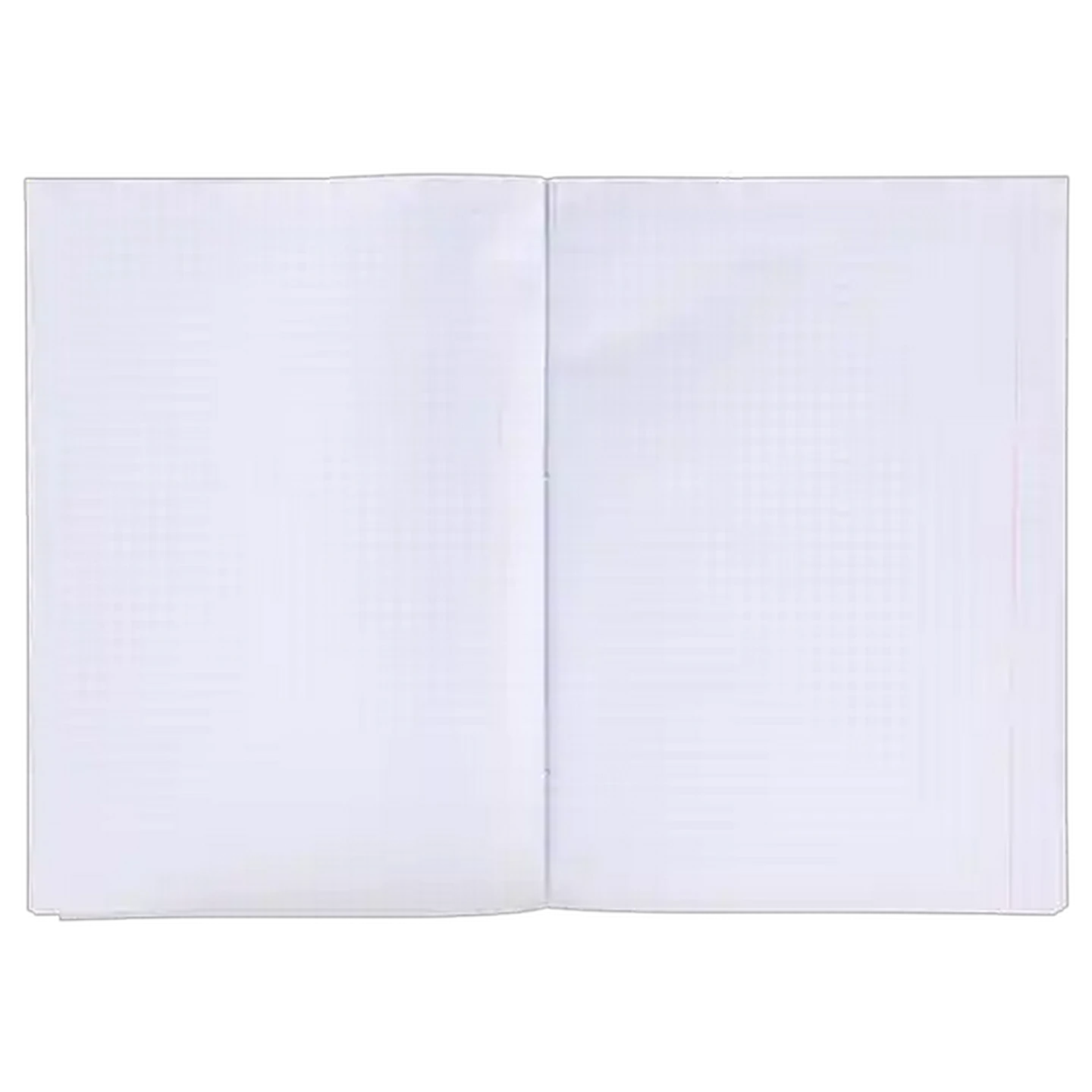 Image of Scholar A4 Quad & Margin Hardcover Counter Book 288 Page
