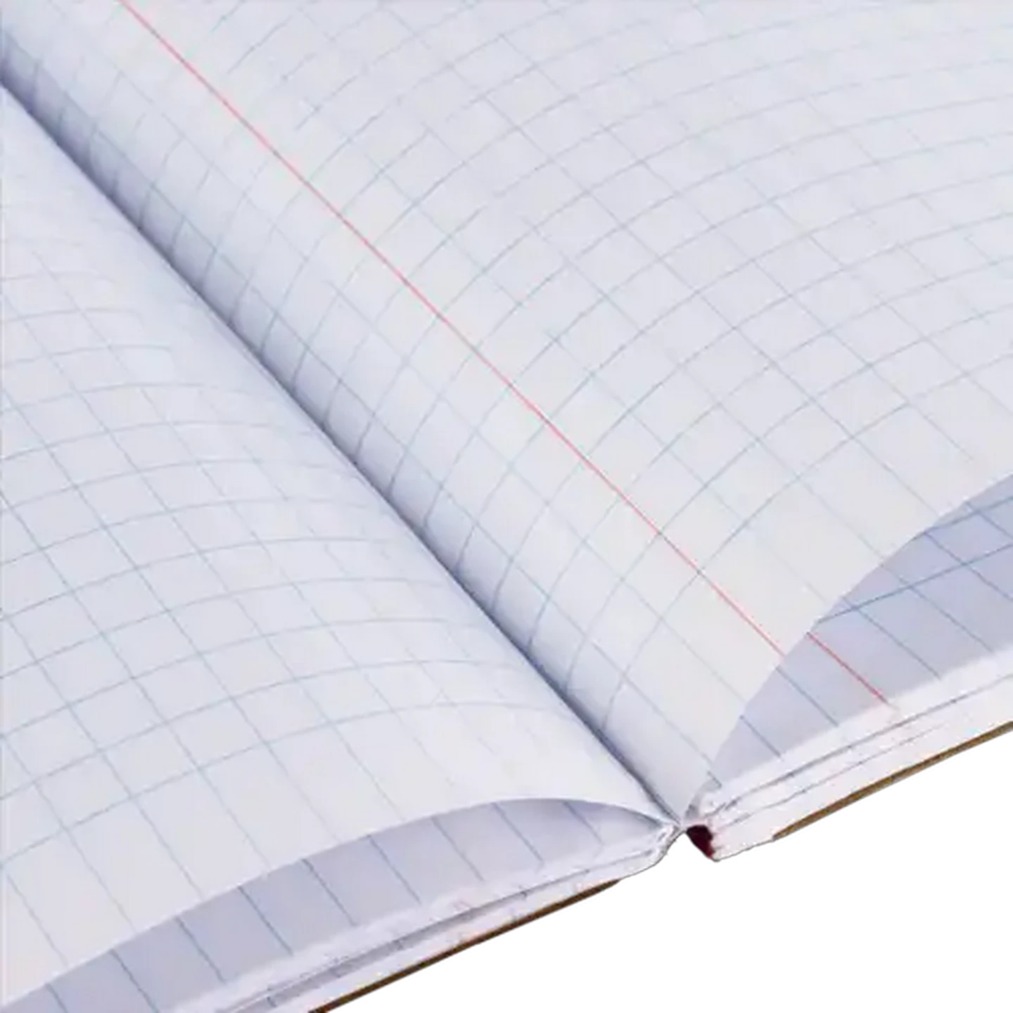 Image of Scholar A4 Quad & Margin Hardcover Counter Book 288 Page
