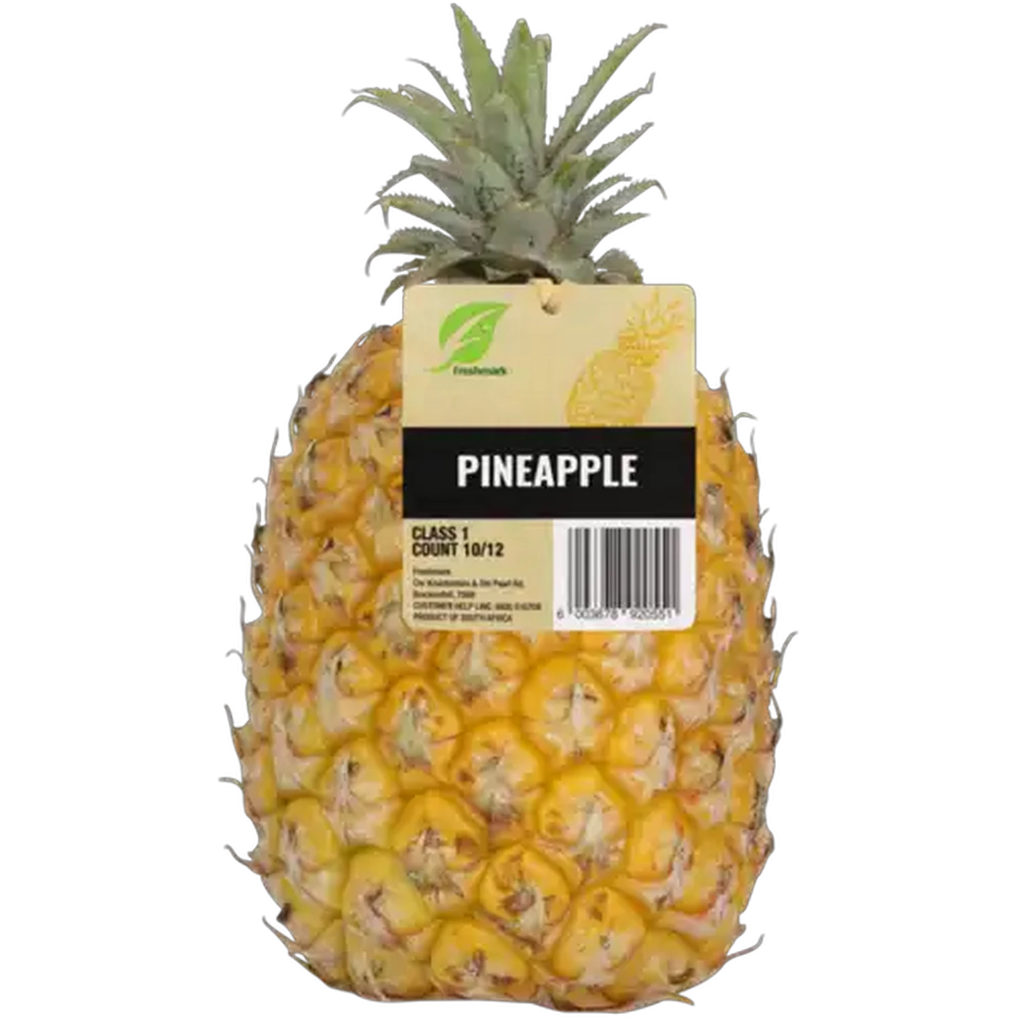 Image of Medium Queen Pineapple