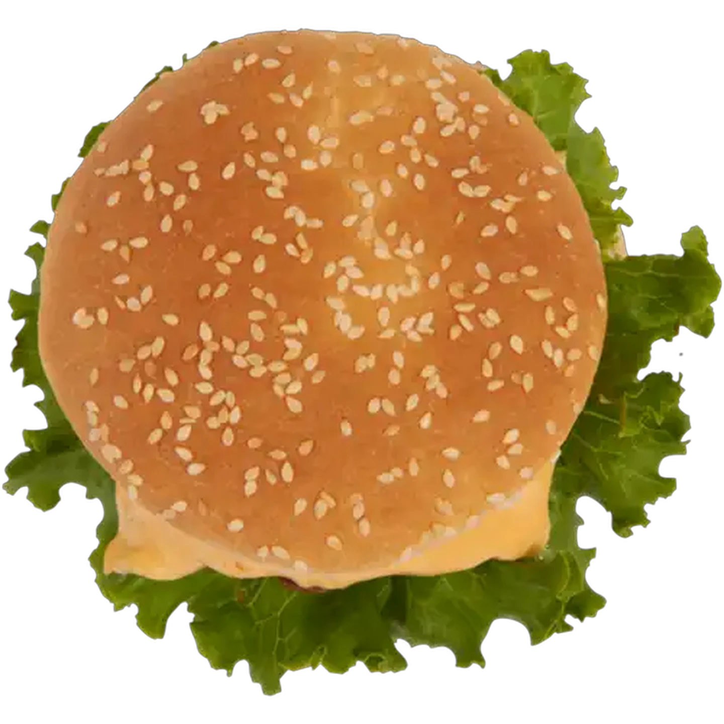 Image of Cheese Boerie Beef Burger