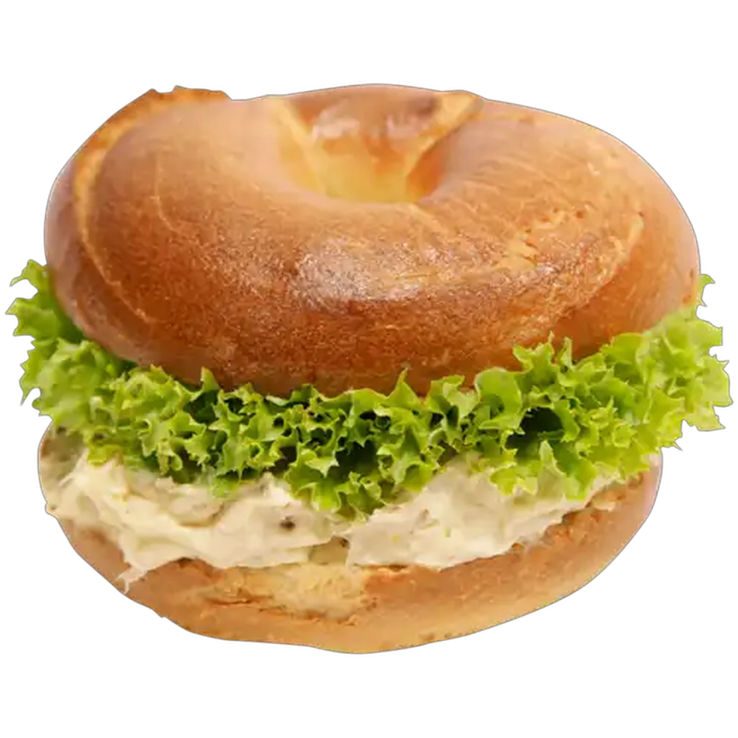 Image of Chicken Mayo Bagel