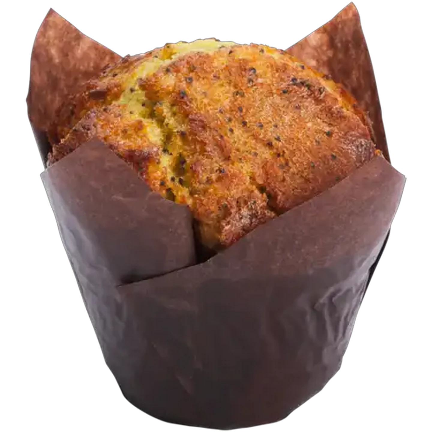 Image of Jumbo Lemon Poppy Muffin