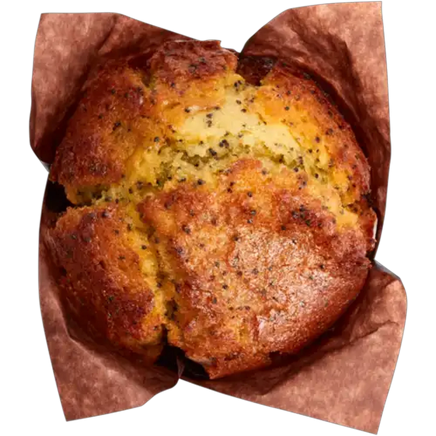 Image of Jumbo Lemon Poppy Muffin