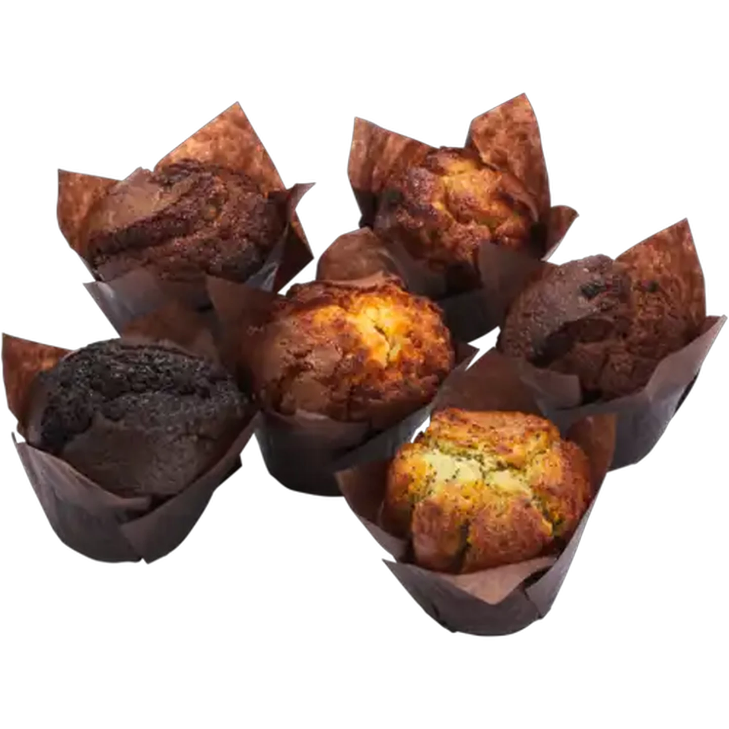Image of Jumbo Lemon Poppy Muffin