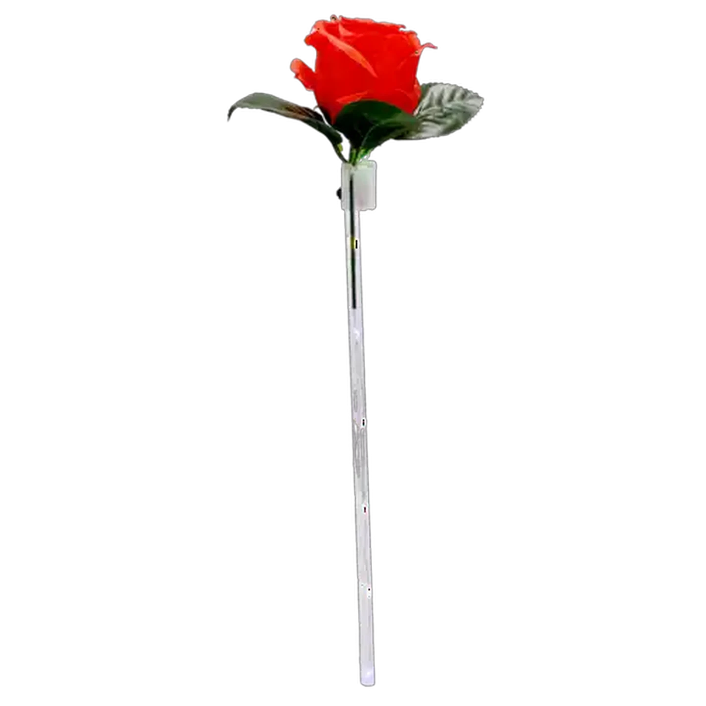 Image of Valentine's Day Light Up Red Rose