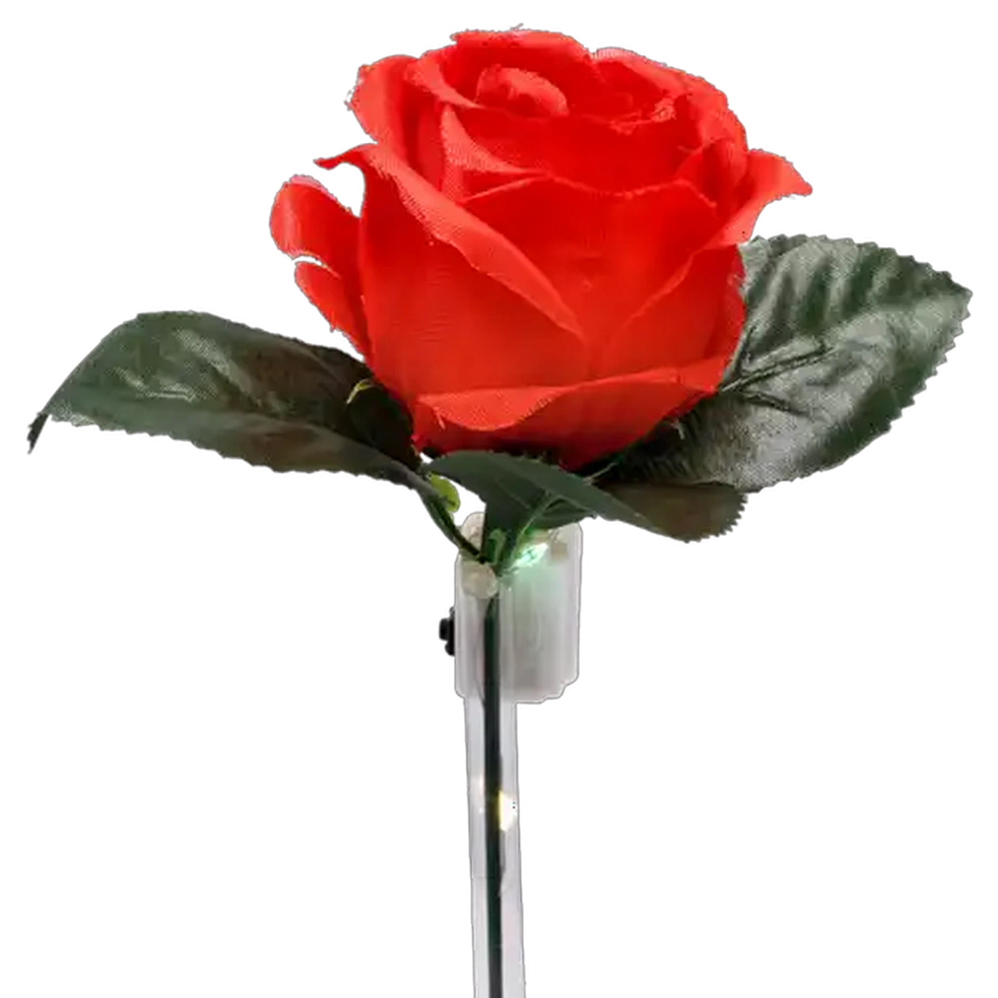 Image of Valentine's Day Light Up Red Rose