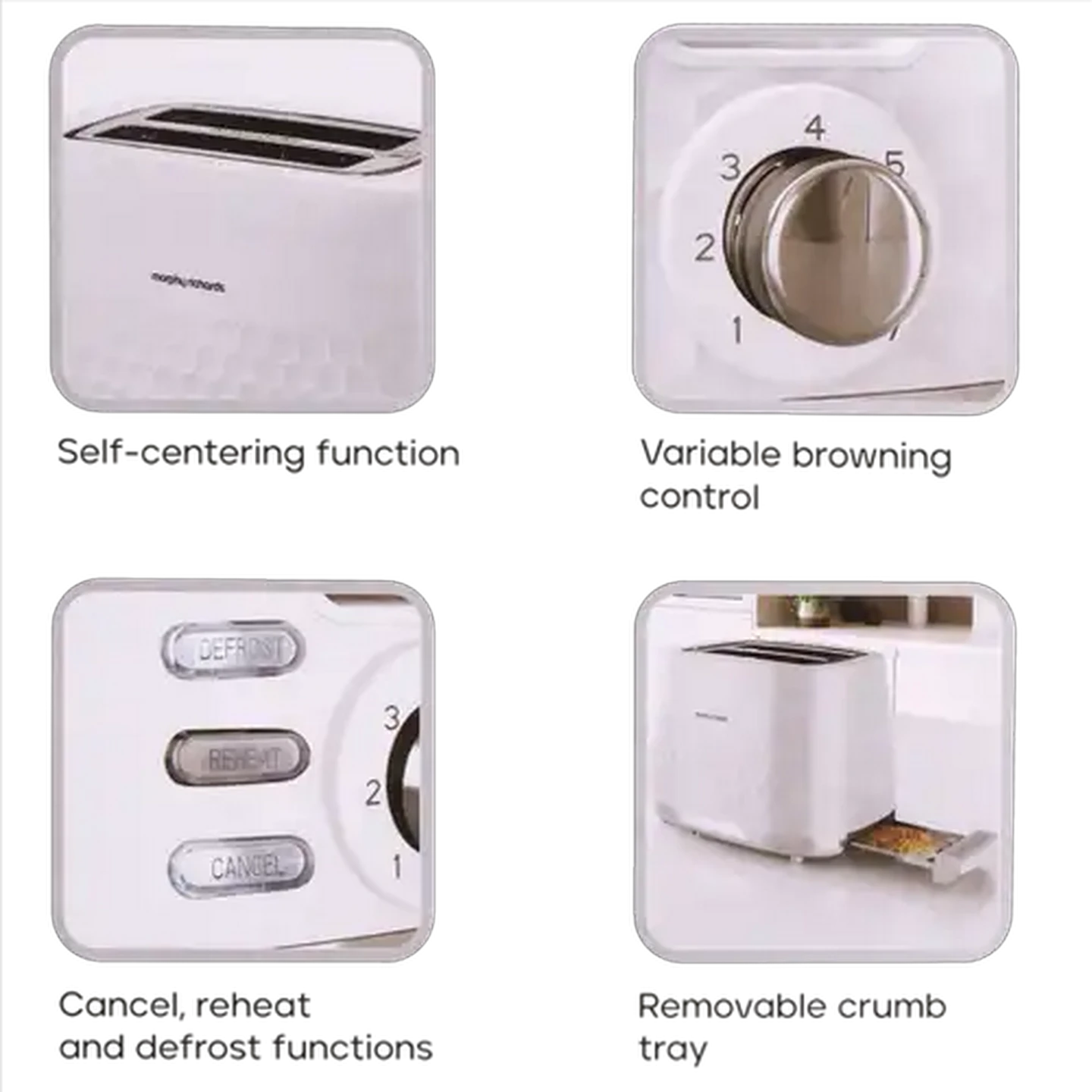 Image of Morphy Richards White Hive 2 Slice Toaster