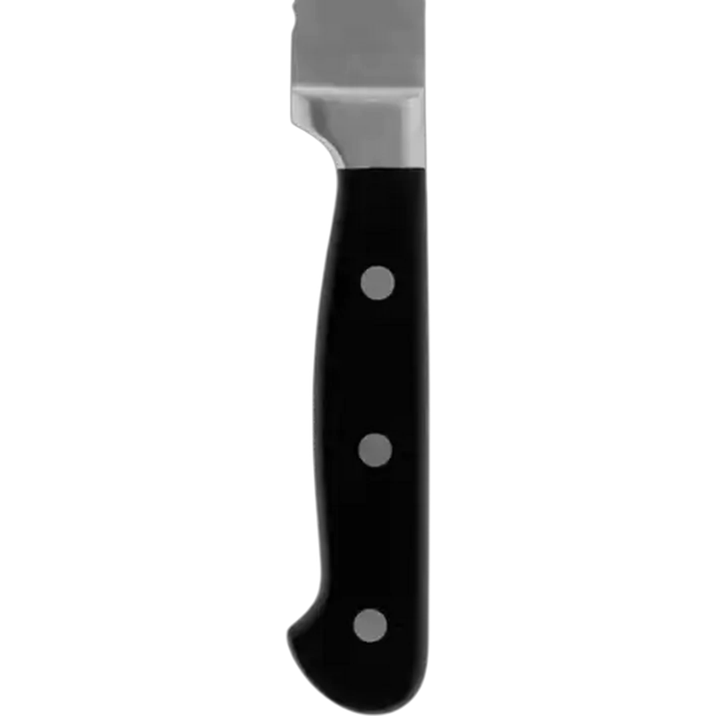 Image of Fina Stainless Steel Bread Knife 33cm