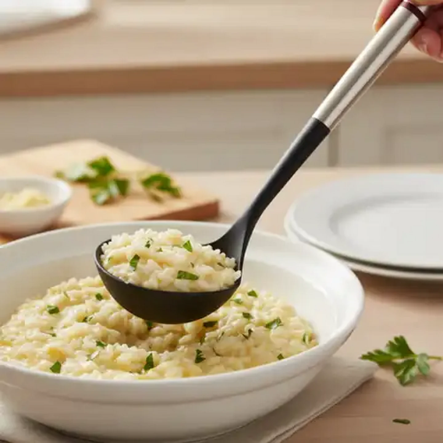 Image of Fina Stainless Steel Handle Nylon Ladle