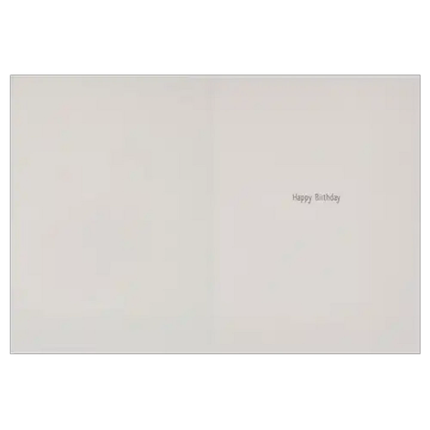 Image of Flamingo Large Birthday Everyday Card