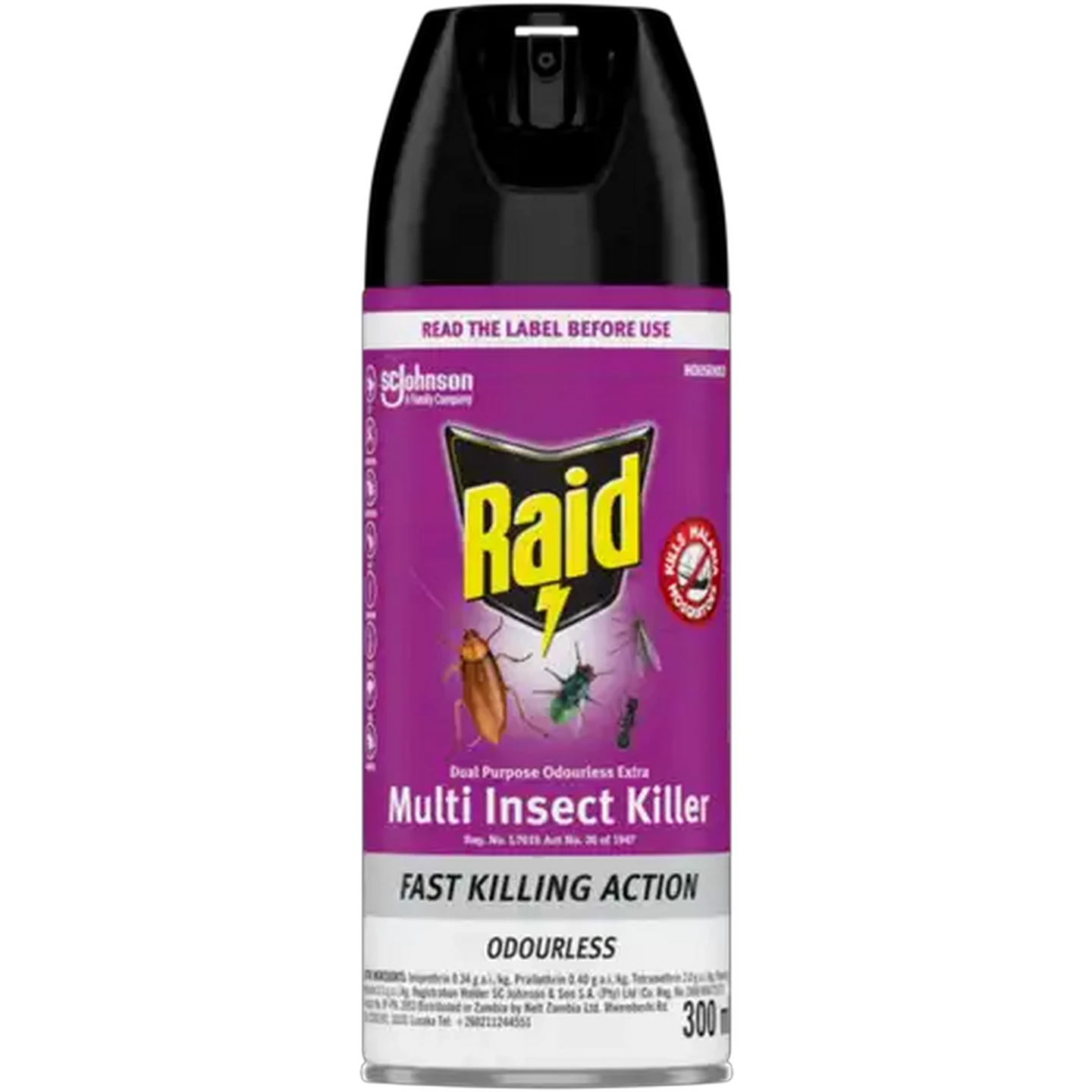 Image of Raid Odourless Multi Insect Killer 300ml