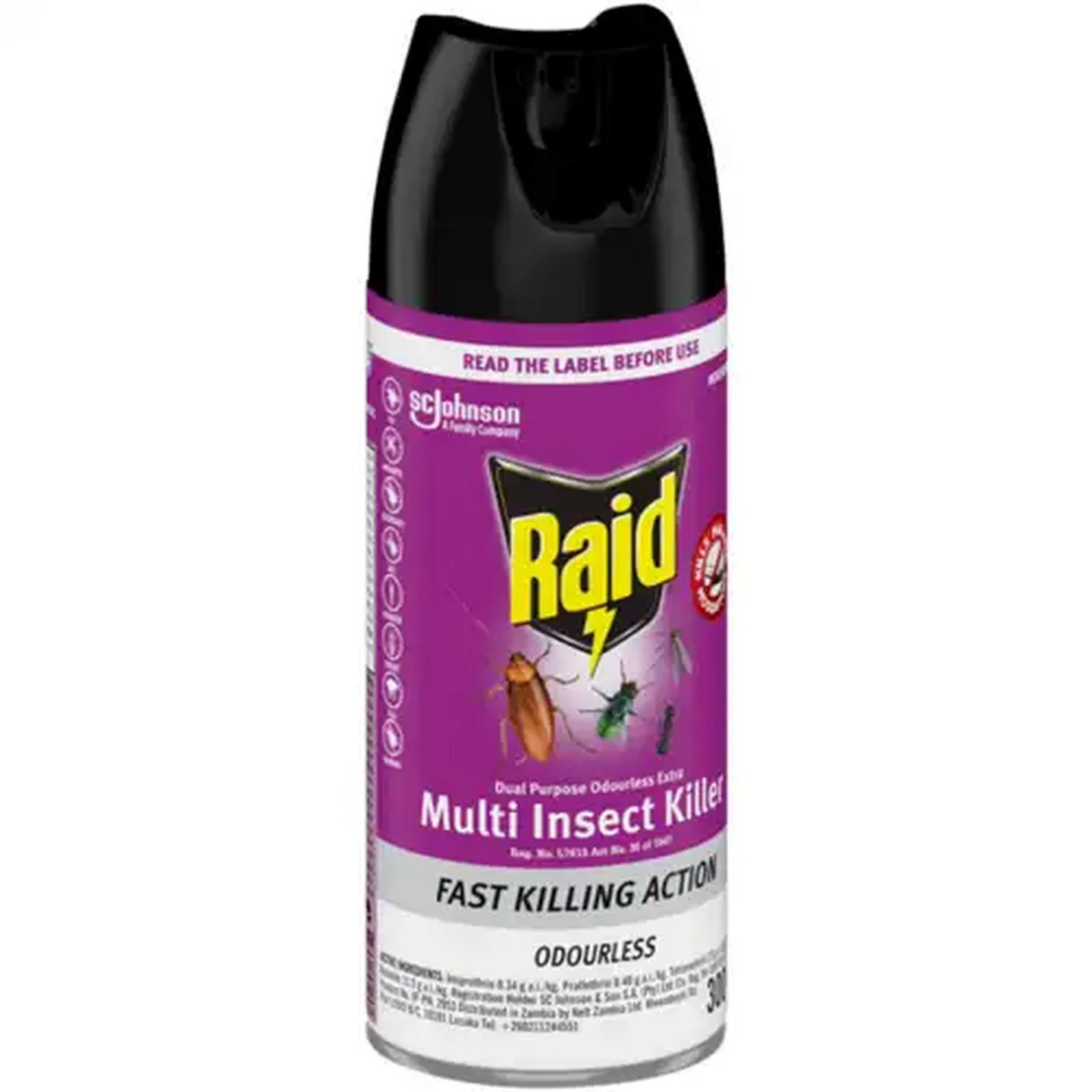 Image of Raid Odourless Multi Insect Killer 300ml