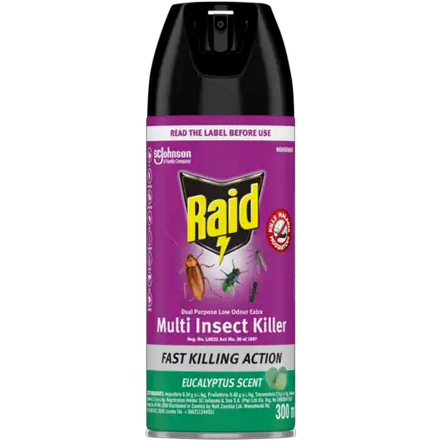 Image of Raid Eucalyptus Scented Insecticide 300ml