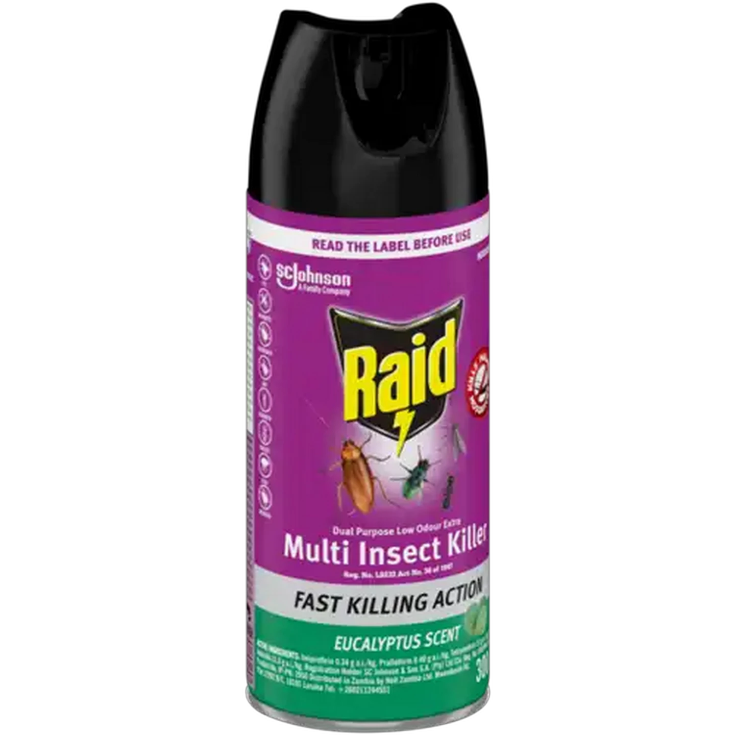 Image of Raid Eucalyptus Scented Insecticide 300ml