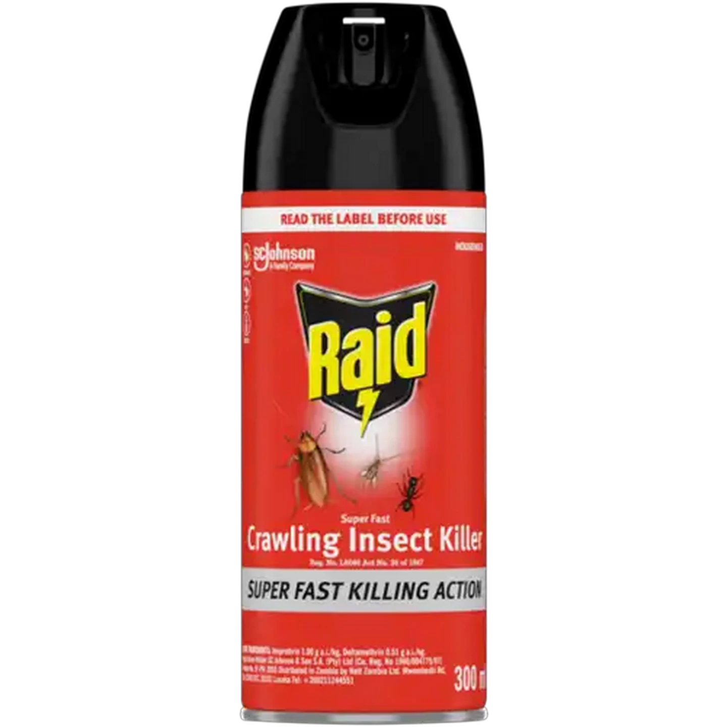 Image of Raid Crawling Insect Killer 300ml