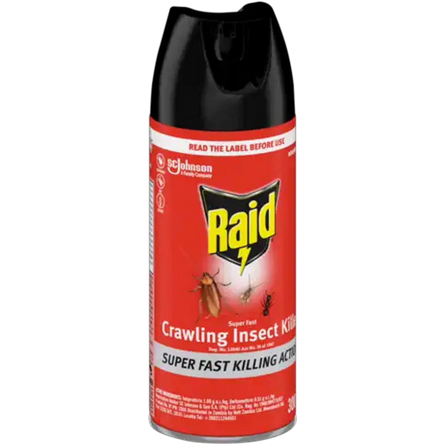 Image of Raid Crawling Insect Killer 300ml