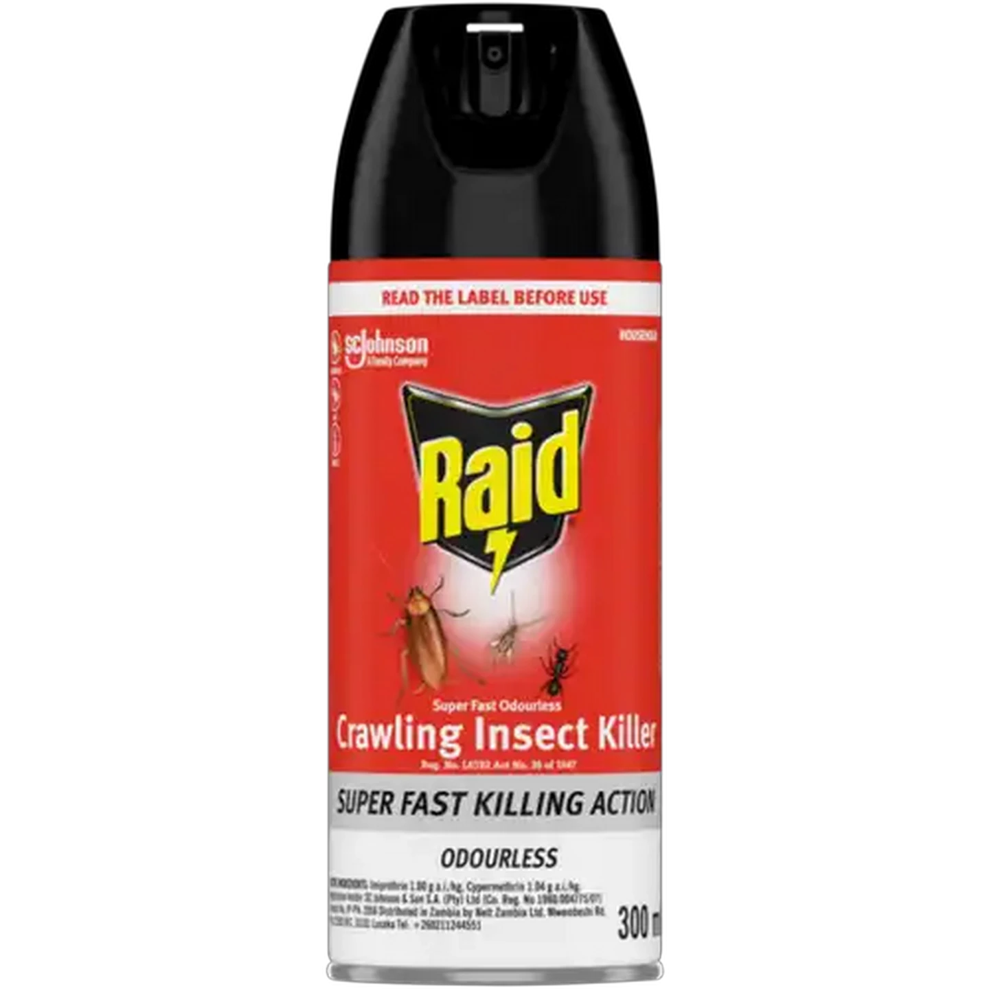 Image of Raid Odourless Crawling Insect Killer 300ml