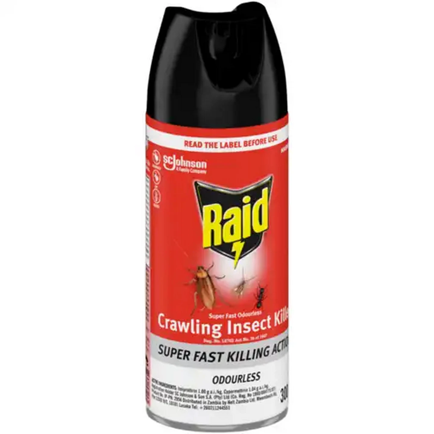 Image of Raid Odourless Crawling Insect Killer 300ml