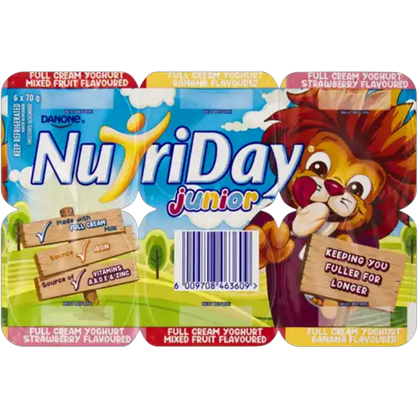 Image of Danone NutriDay Junior Assorted Full Cream Yoghurt 6 x 70g