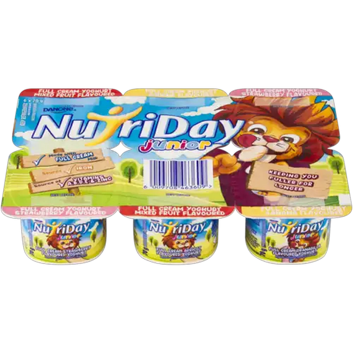 Image of Danone NutriDay Junior Assorted Full Cream Yoghurt 6 x 70g