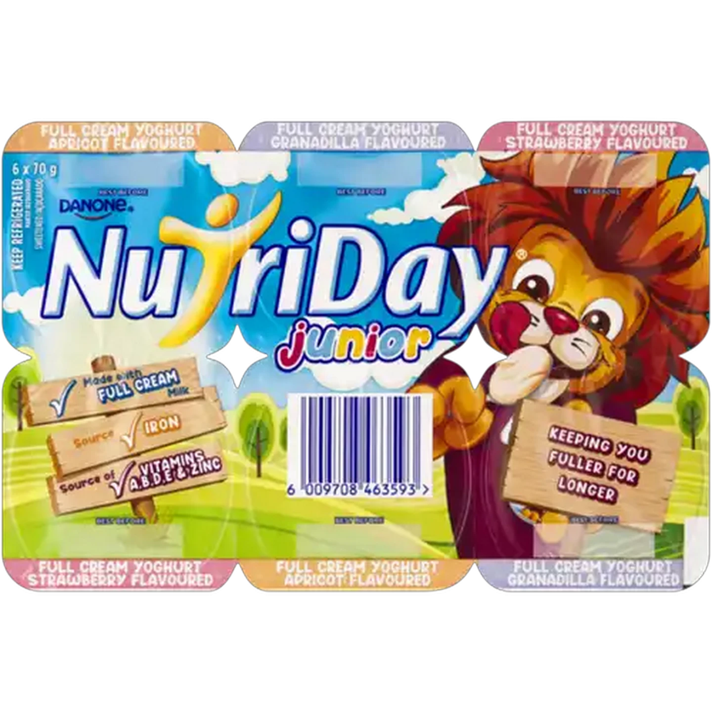 Image of Danone NutriDay Junior Assorted Full Cream Yoghurt 6 x 70g