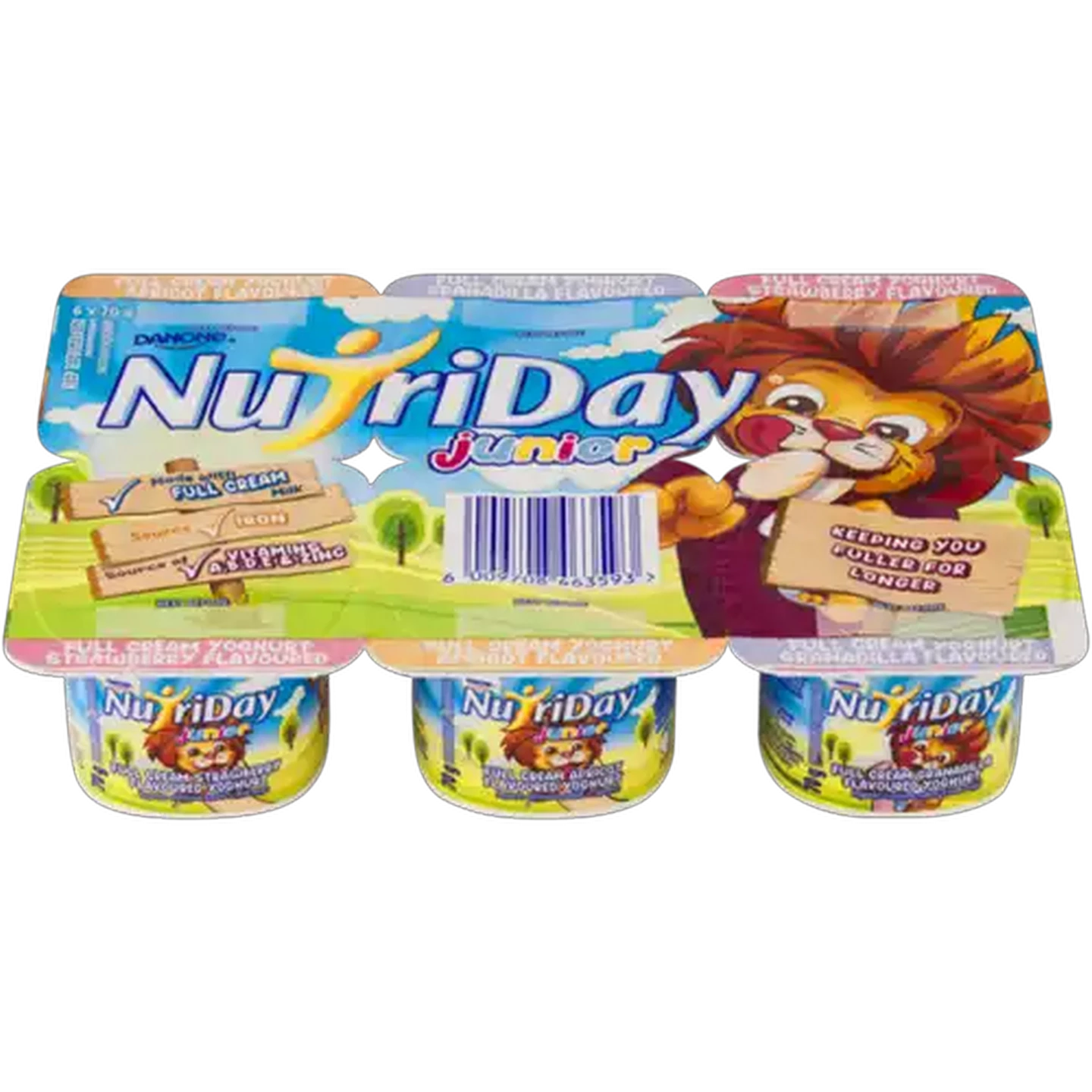 Image of Danone NutriDay Junior Assorted Full Cream Yoghurt 6 x 70g