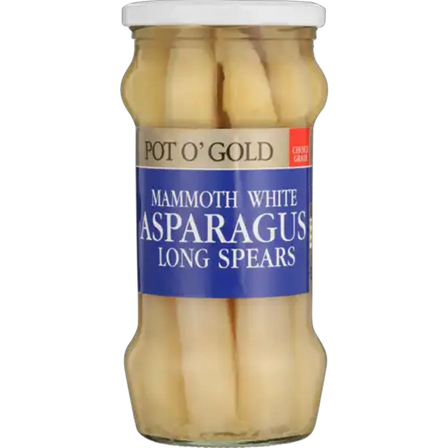 Image of Pot O' Gold Mammoth White Long Spear Asparagas 530g
