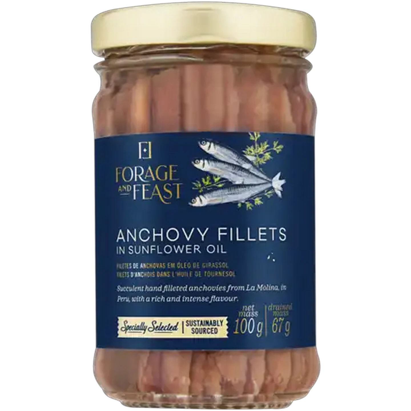 Image of Forage And Feast Anchovy Fillets in Sunflower Oil 100g