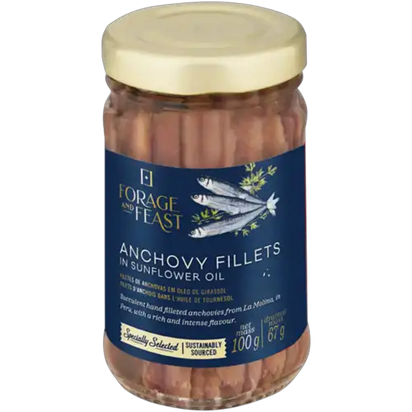 Image of Forage And Feast Anchovy Fillets in Sunflower Oil 100g