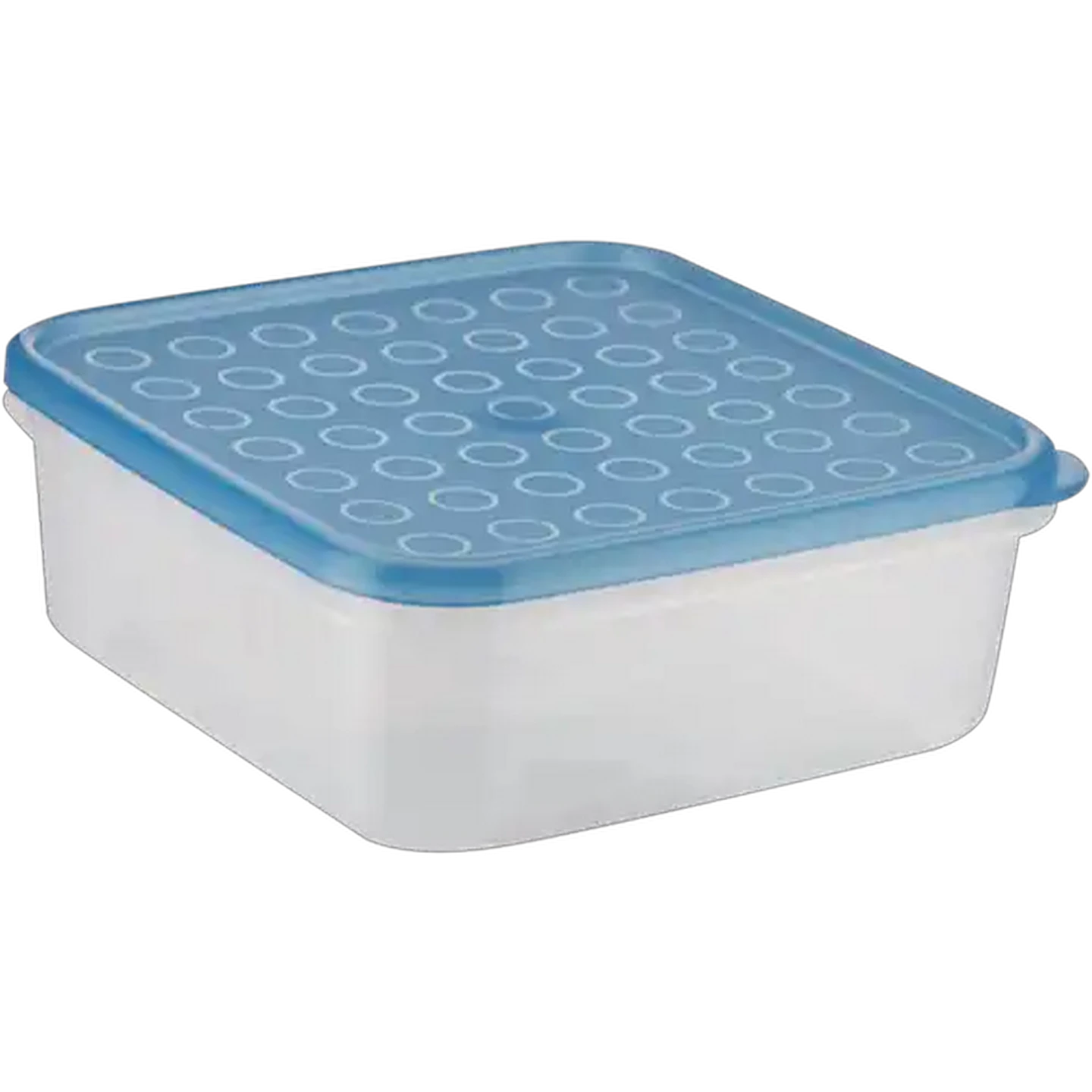 Image of Fontal Basic Blue Container 0.5L