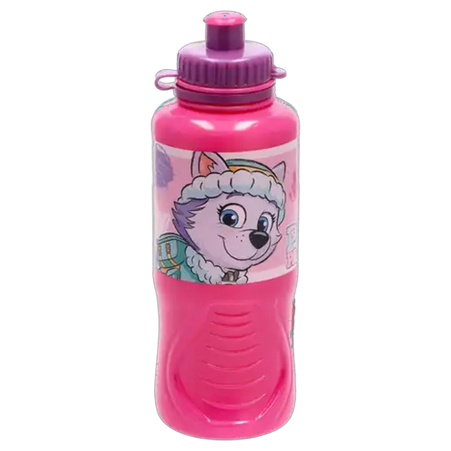 Image of PAW Patrol Sketch Sports Bottle 430ml