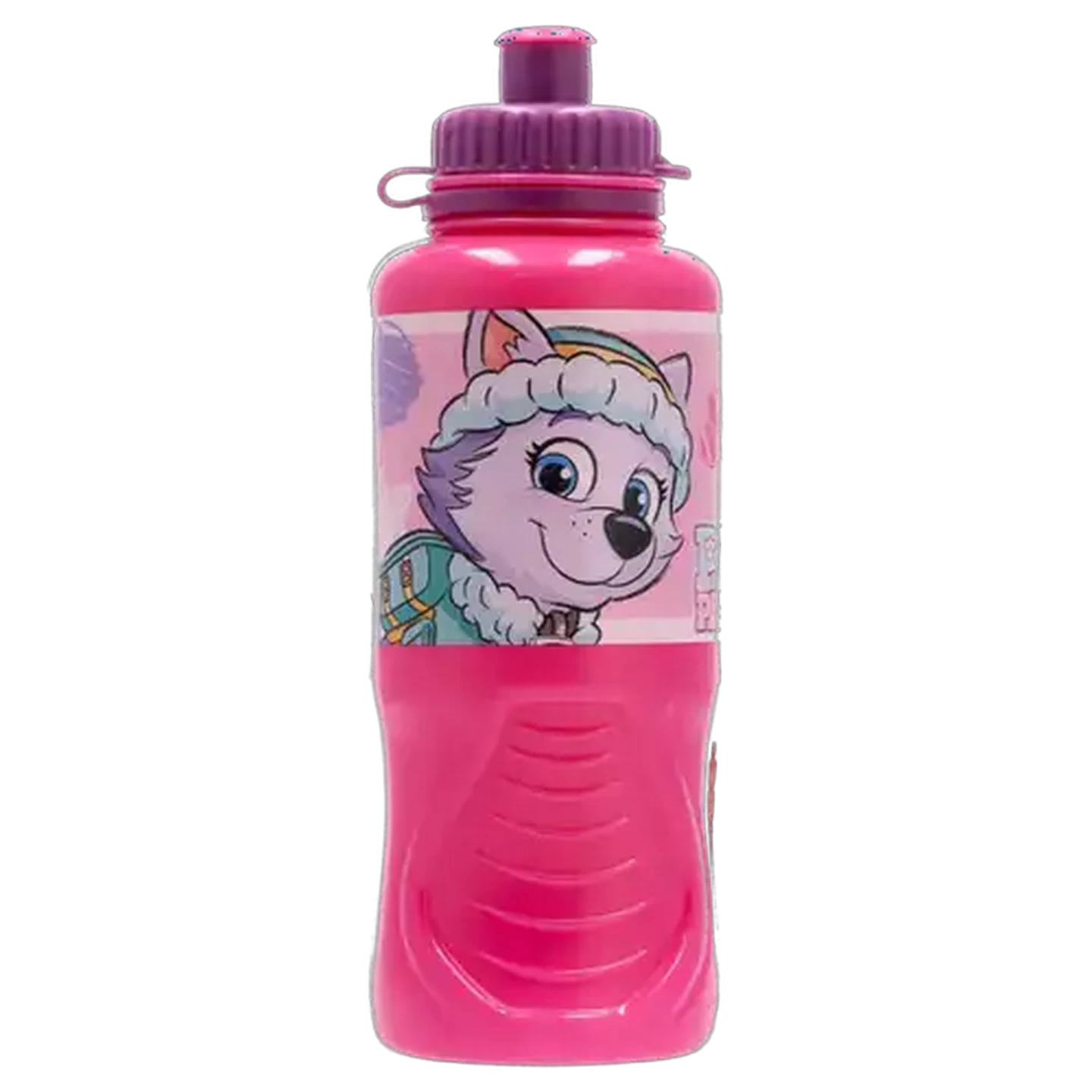Image of PAW Patrol Sketch Sports Bottle 430ml