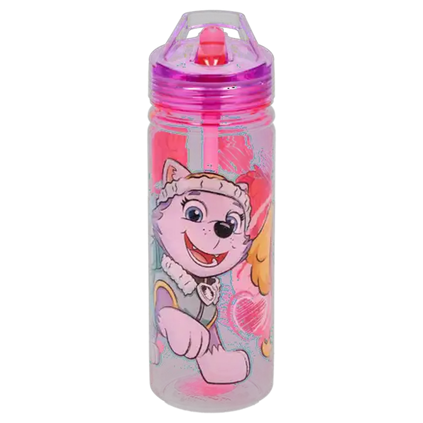 Image of PAW Patrol Sketch Ecozen Bottle 580ml