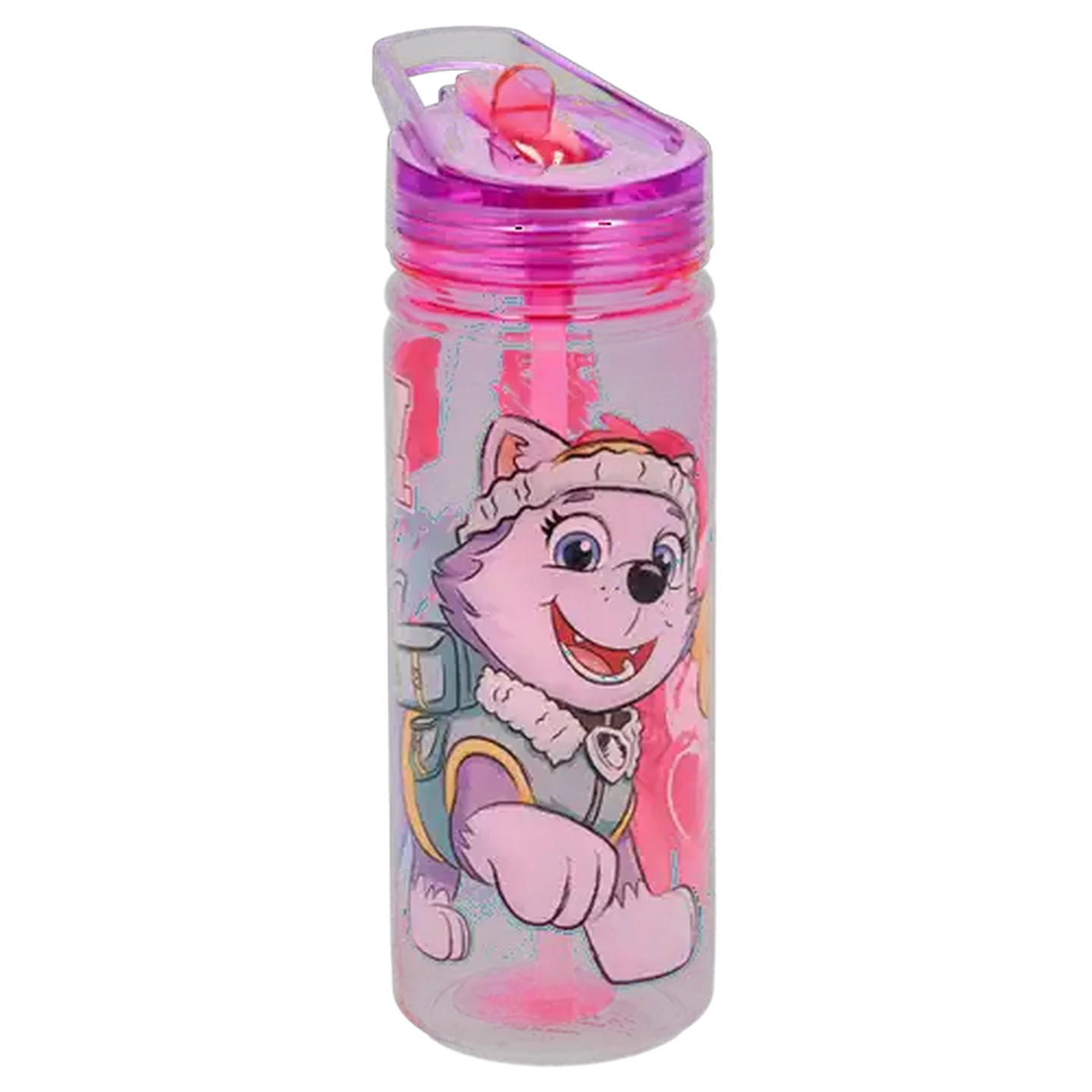 Image of PAW Patrol Sketch Ecozen Bottle 580ml