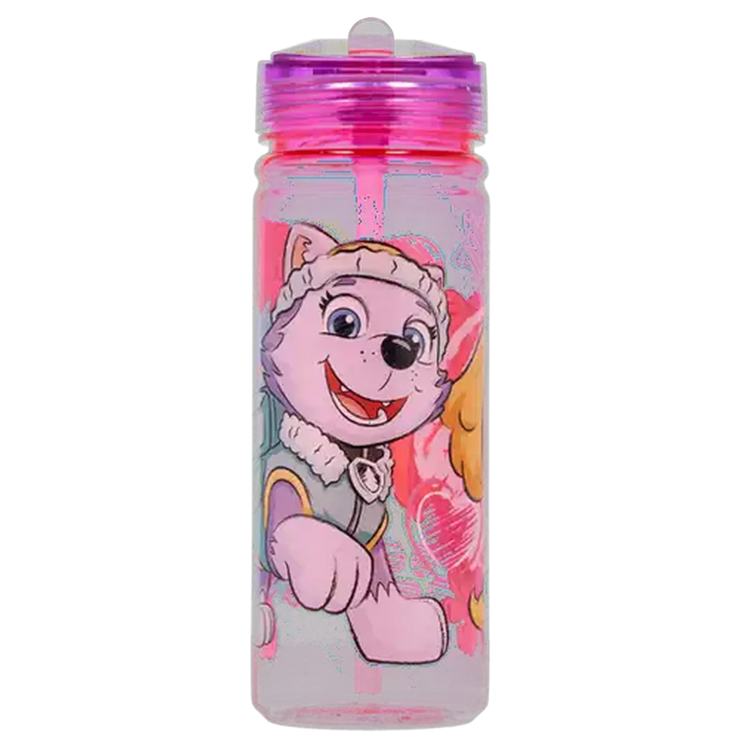 Image of PAW Patrol Sketch Ecozen Bottle 580ml