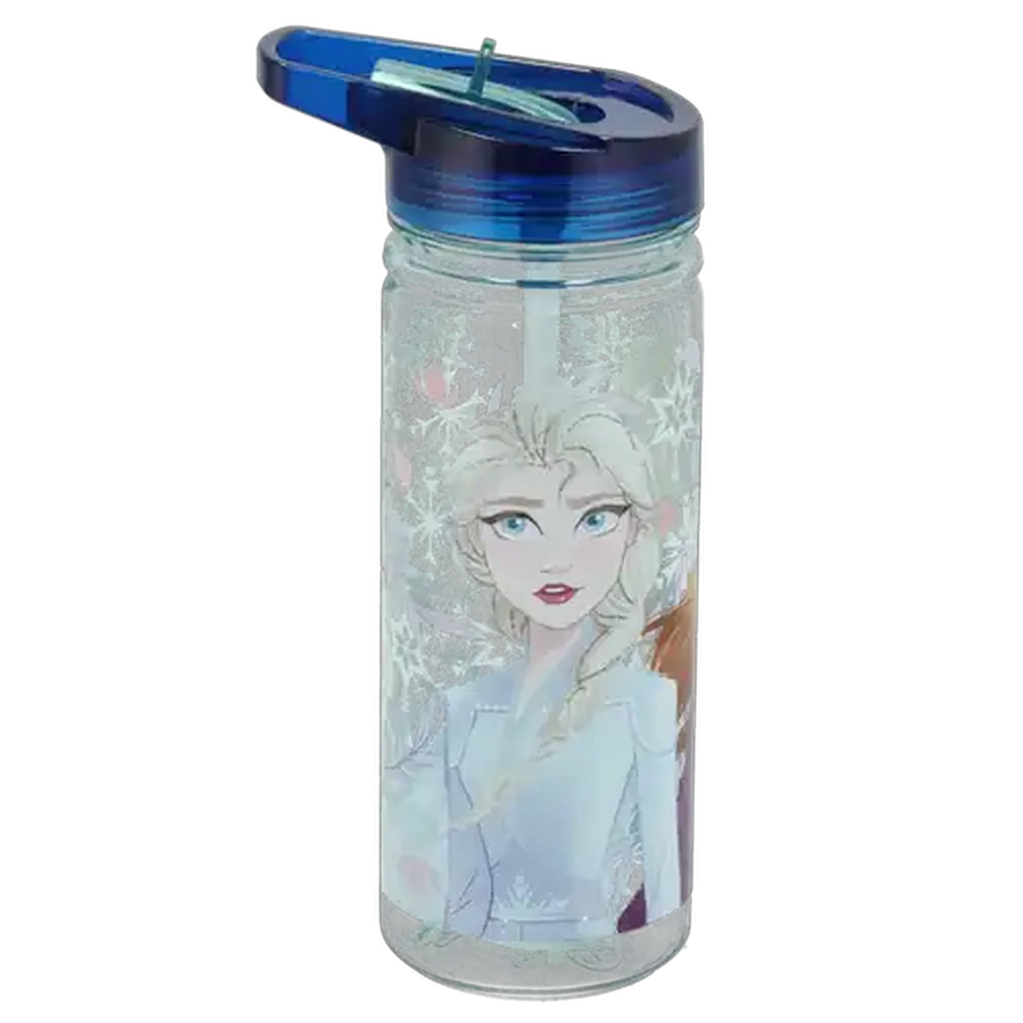 Image of Frozen Snowy Ecozen Bottle 580ml