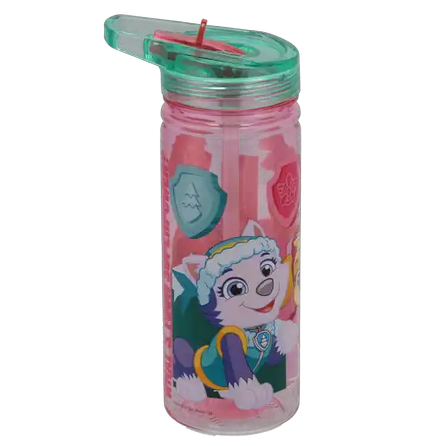 Image of Paw Patrol Power Ecozen Bottle 580ml
