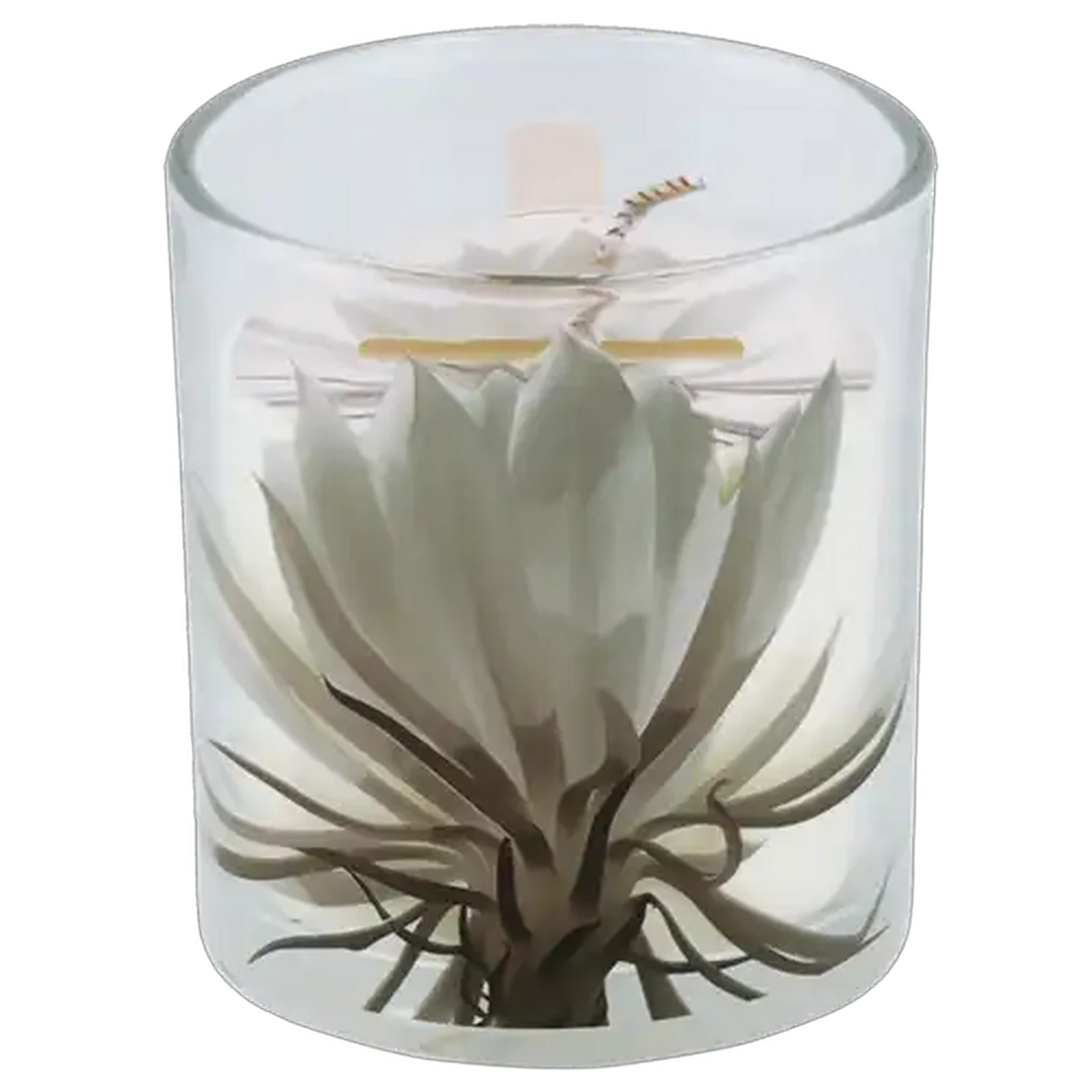 Image of Luxury Fig & Magnolia Candle 8 x 8cm