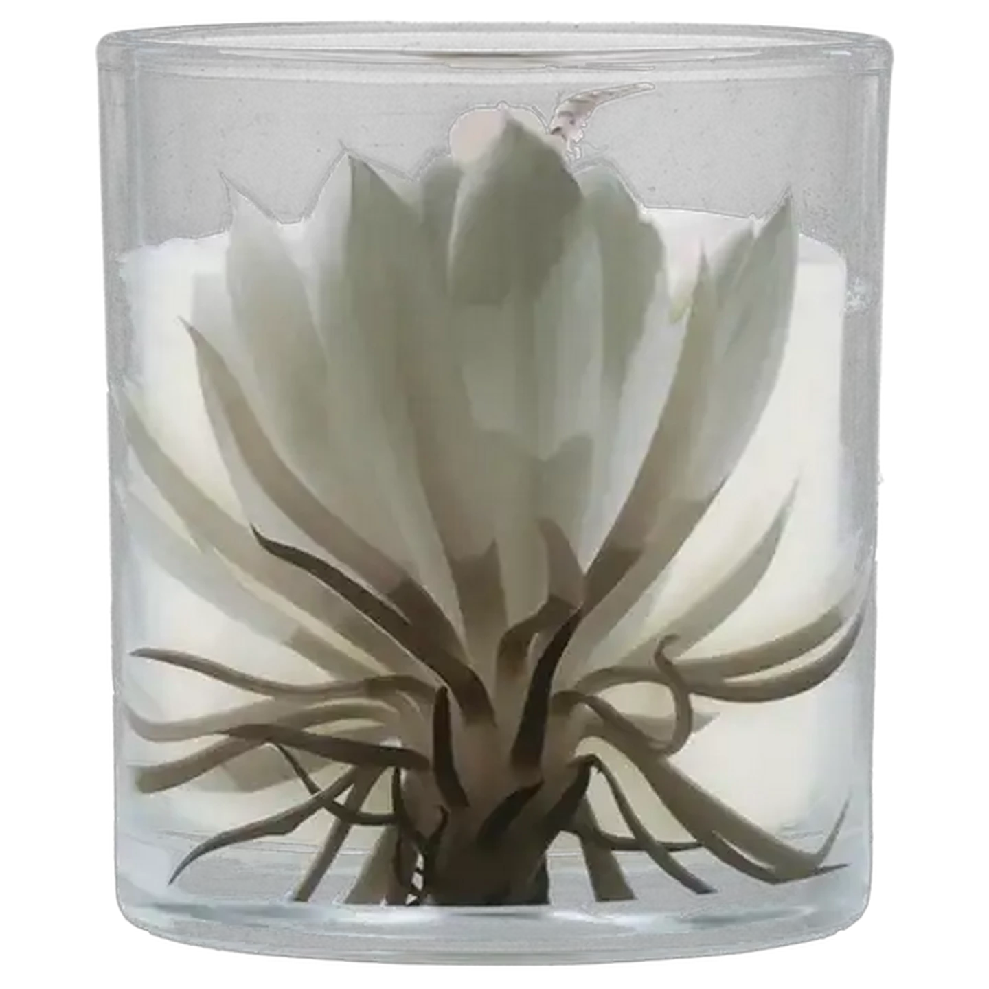 Image of Luxury Fig & Magnolia Candle 8 x 8cm