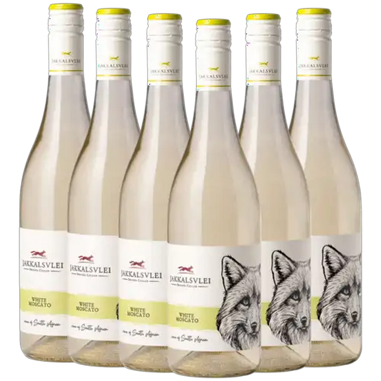 Image of Jakkalsvlei White Moscato White Wine Bottles 6 x 750ml