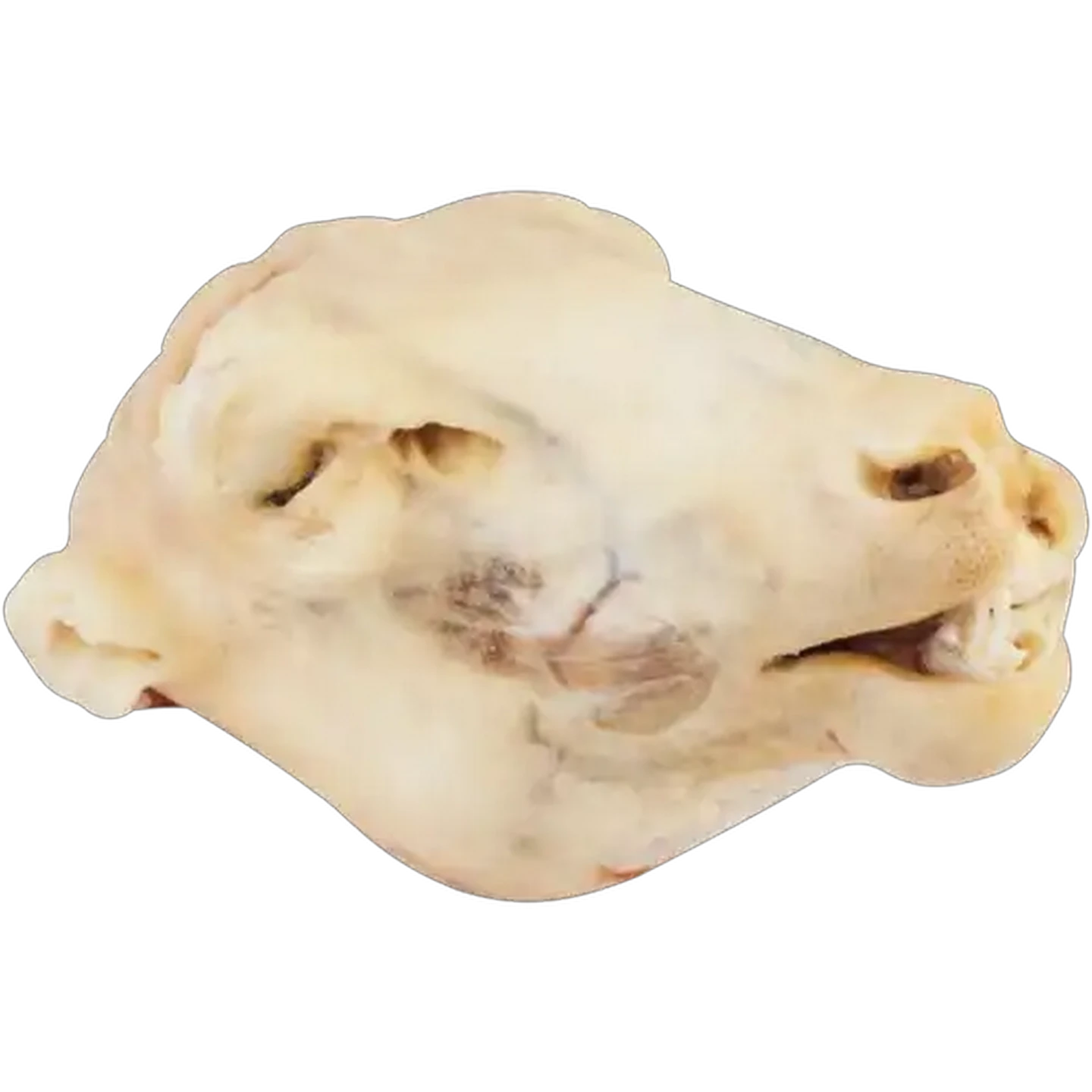 Image of Frozen Sheep Head Per KG