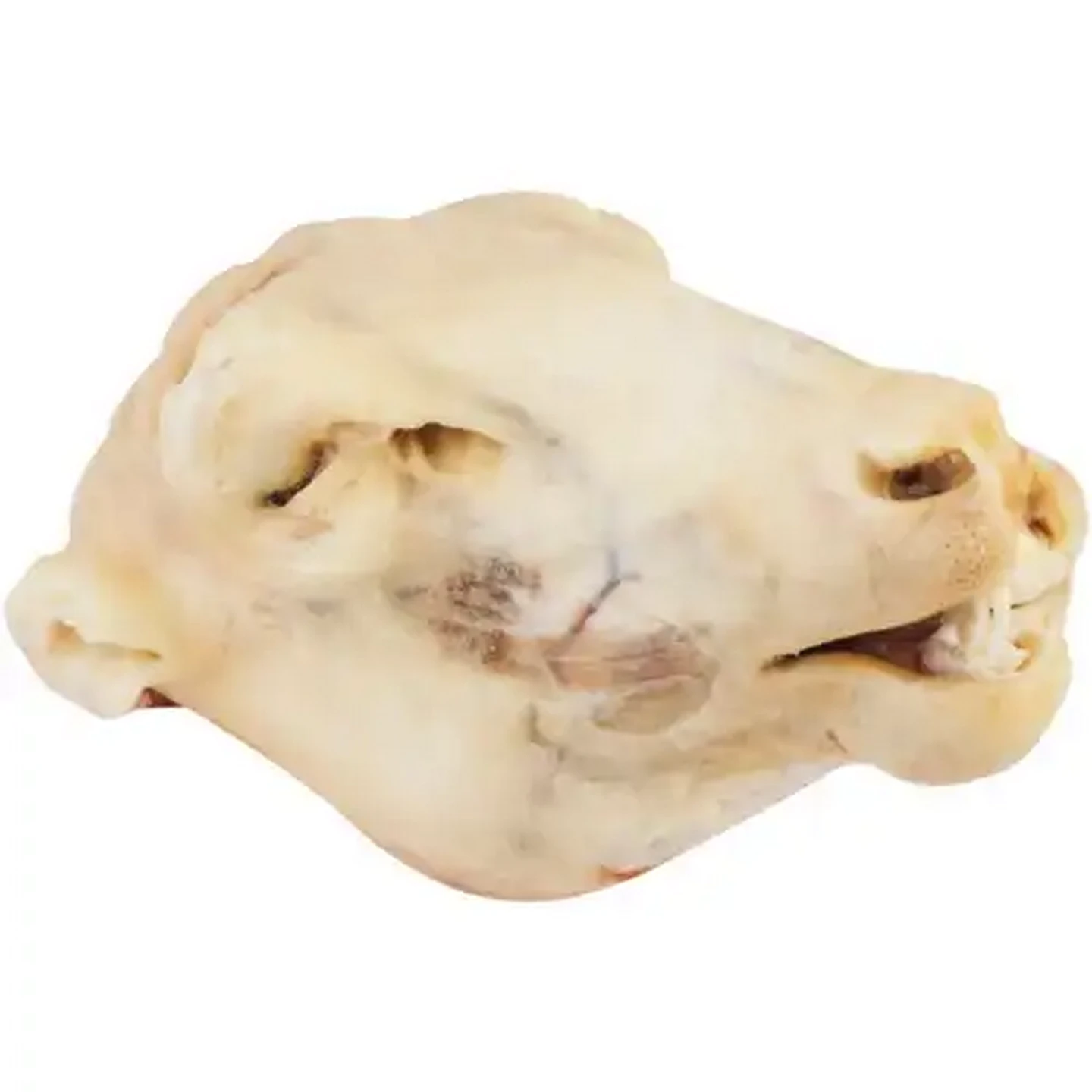 Image of Frozen Sheep Head Per KG